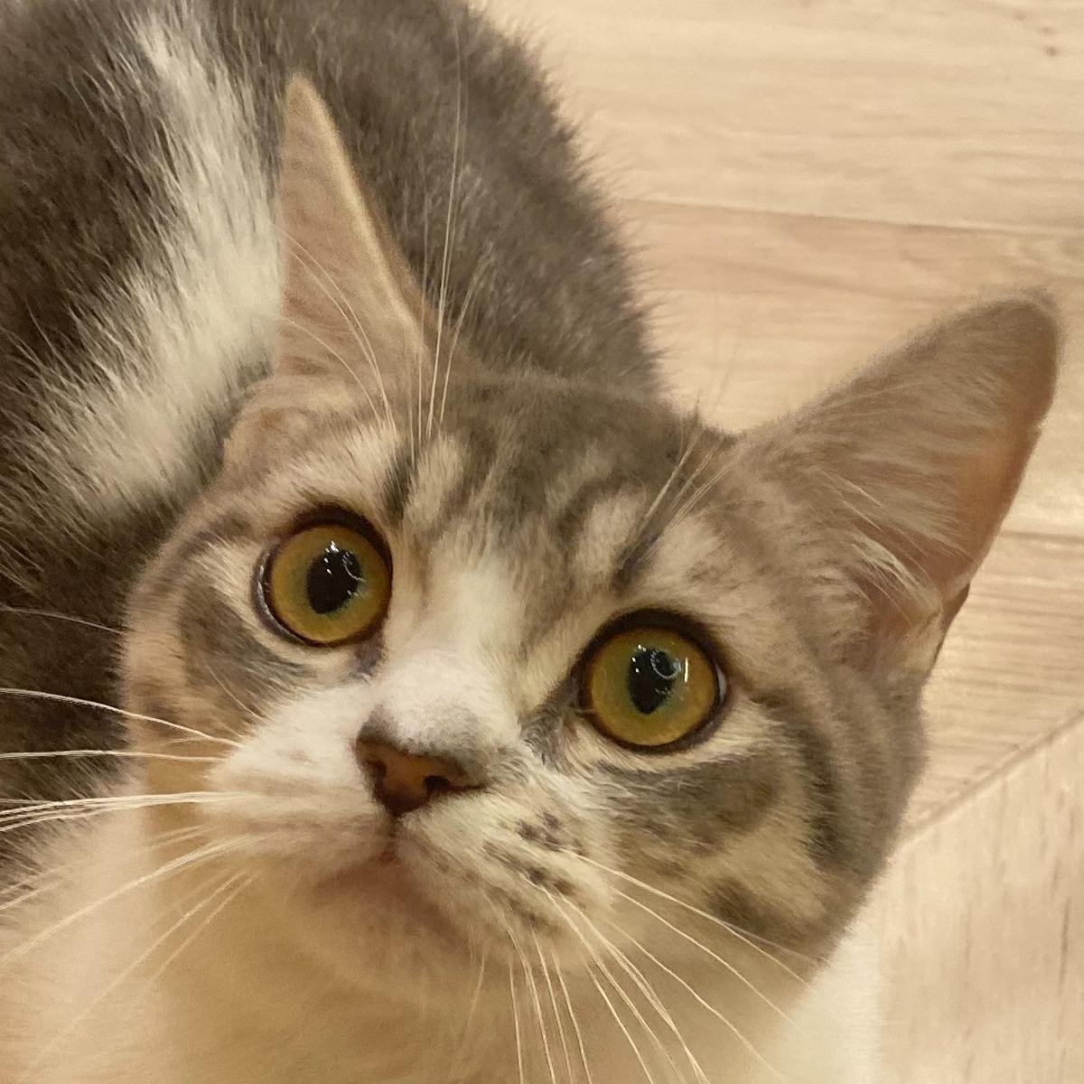 ハナマル